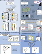 Breaking the silence: Leveraging social interaction data to identify high-risk suicide users online using network analysis and machine learning